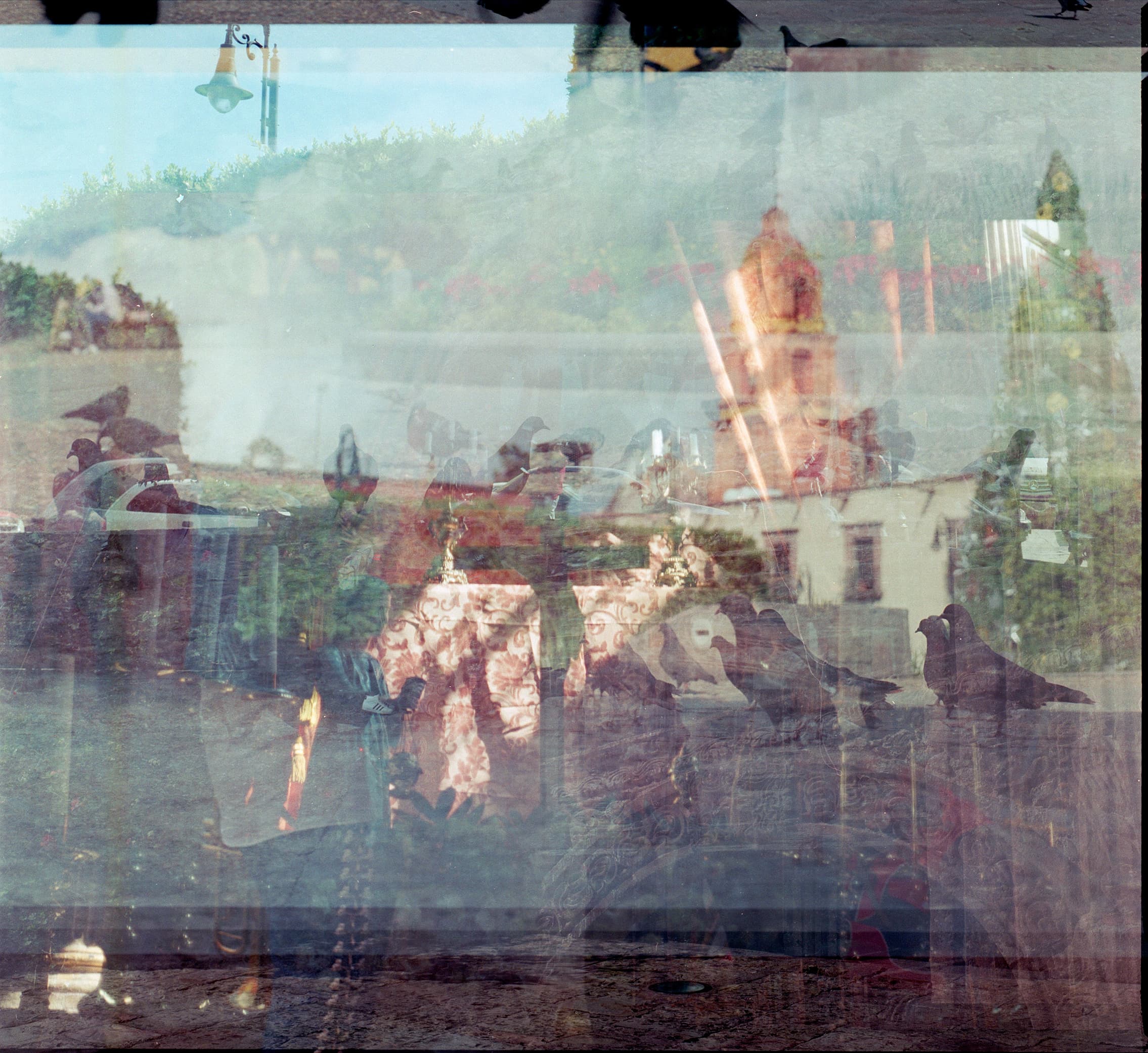 Photo 6